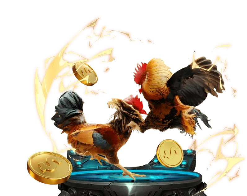 Hình ảnh hoàn trả hàng ngày 118bet